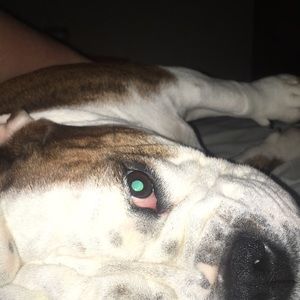 Meet your Posher, Austin